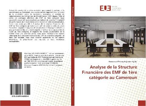 Analyse de la Structure Financière des EMF de 1ère catégorie au Cameroun