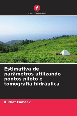 Estimativa de parâmetros utilizando pontos piloto e tomografia hidráulica