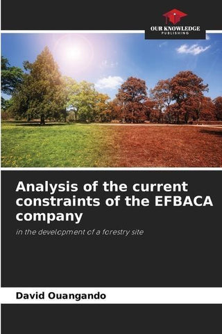 Analysis of the current constraints of the EFBACA company