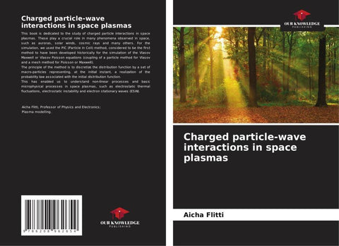 Charged particle-wave interactions in space plasmas