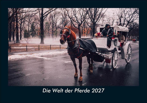 Die Welt der Pferde 2027 Fotokalender DIN A5