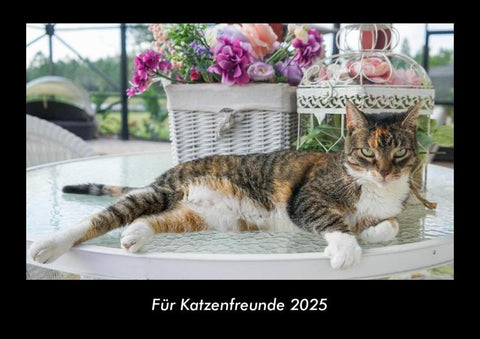 Für Katzenfreunde 2025 Fotokalender DIN A3