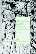Auditory Cortex