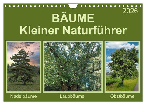 Bäume Kleiner Naturführer (Wandkalender 2026 DIN A4 quer), CALVENDO Monatskalender
