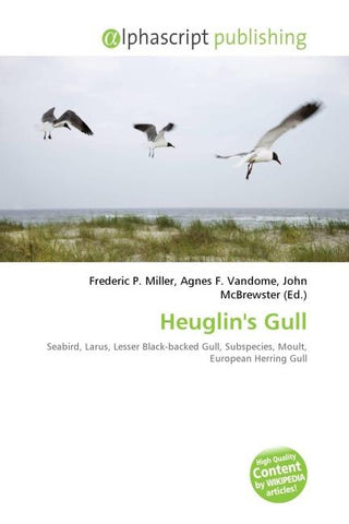 Heuglin's Gull