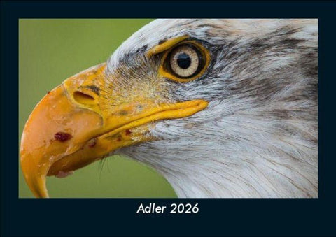 Adler 2026 Fotokalender DIN A5