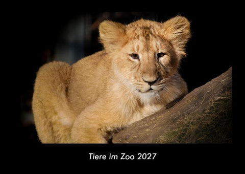Tiere im Zoo 2027 Fotokalender DIN A3