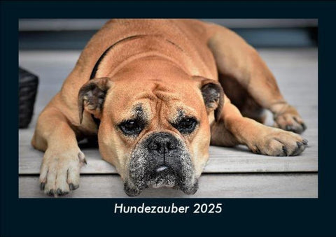 Hundezauber 2025 Fotokalender DIN A5