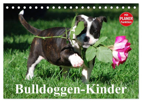 Bulldoggen-Kinder (Tischkalender 2026 DIN A5 quer), CALVENDO Monatskalender