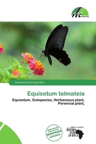 Equisetum telmateia