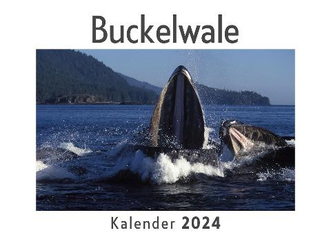 Buckelwale (Wandkalender 2024, Kalender DIN A4 quer, Monatskalender im Querformat mit Kalendarium, Das perfekte Geschenk)
