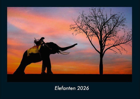 Elefanten 2026 Fotokalender DIN A4
