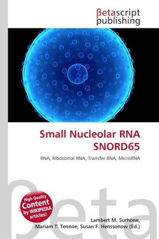 Small Nucleolar RNA SNORD65