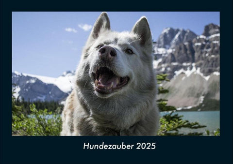 Hundezauber 2025 Fotokalender DIN A4