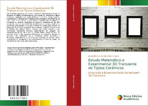 Estudo Matemático e Experimental 3D Transiente de Tijolos Cerâmicos