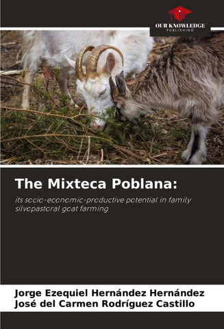 The Mixteca Poblana: