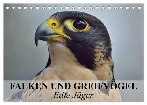 Falken und Greifvögel. Edle Jäger (Tischkalender 2026 DIN A5 quer), CALVENDO Monatskalender