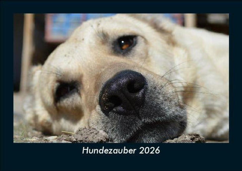 Hundezauber 2026 Fotokalender DIN A5