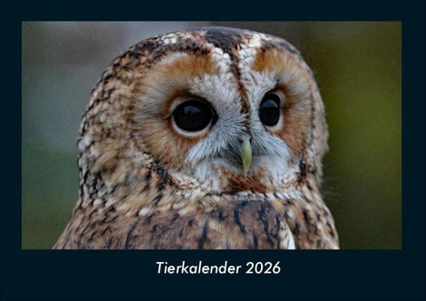 Tierkalender 2026 Fotokalender DIN A4