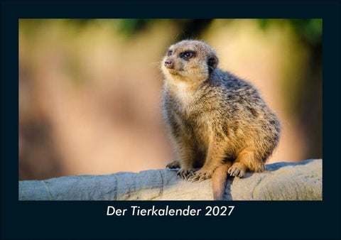 Der Tierkalender 2027 Fotokalender DIN A5