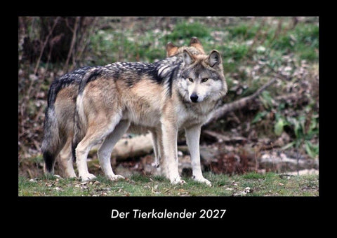 Der Tierkalender 2027 Fotokalender DIN A3