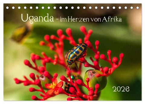 Uganda - im Herzen von Afrika (Tischkalender 2026 DIN A5 quer), CALVENDO Monatskalender