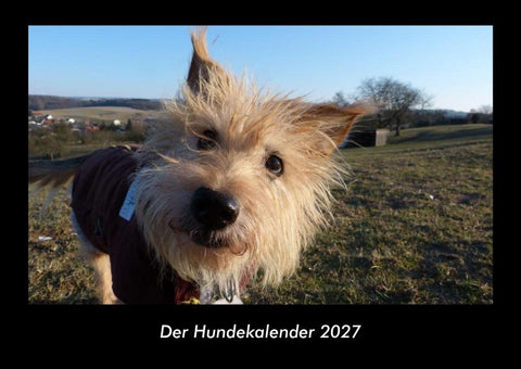 Der Hundekalender 2027 Fotokalender DIN A3