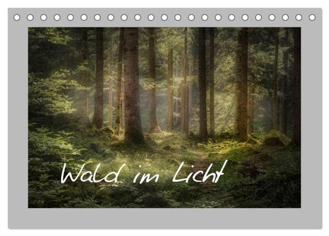 Wald im Licht (Tischkalender 2026 DIN A5 quer), CALVENDO Monatskalender