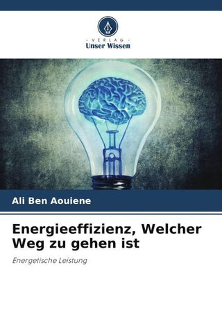 Energieeffizienz, Welcher Weg zu gehen ist