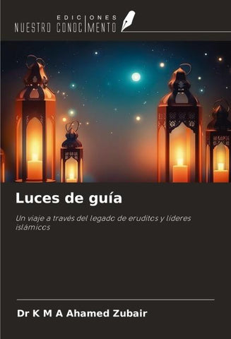 Luces de guía