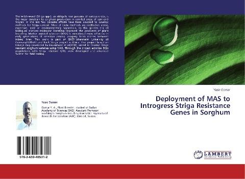 Deployment of MAS to Introgress Striga Resistance Genes in Sorghum