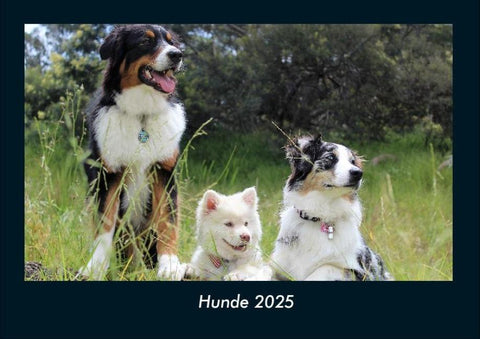 Hunde 2025 Fotokalender DIN A4