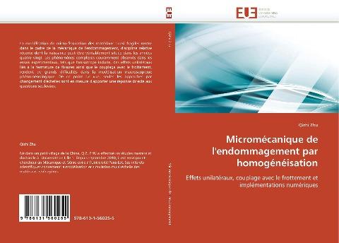 Micromécanique de l''endommagement par homogénéisation