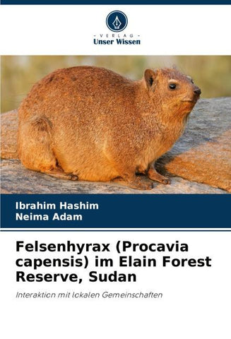 Felsenhyrax (Procavia capensis) im Elain Forest Reserve, Sudan