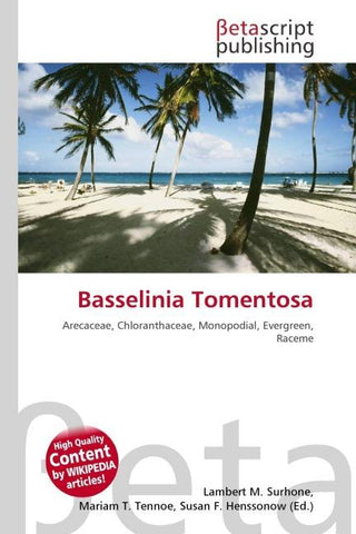 Basselinia Tomentosa