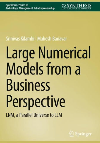 Large Numerical Models from a Business Perspective
