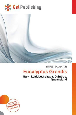 Eucalyptus Grandis