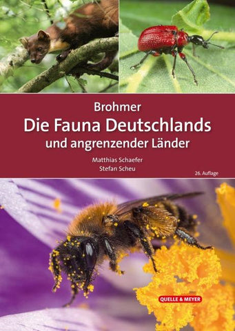 Brohmer – Die Fauna Deutschlands und angrenzender Länder