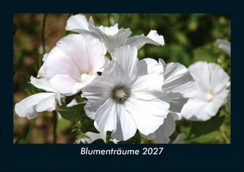 Blumenträume 2027 Fotokalender DIN A5