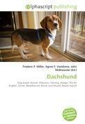 Dachshund