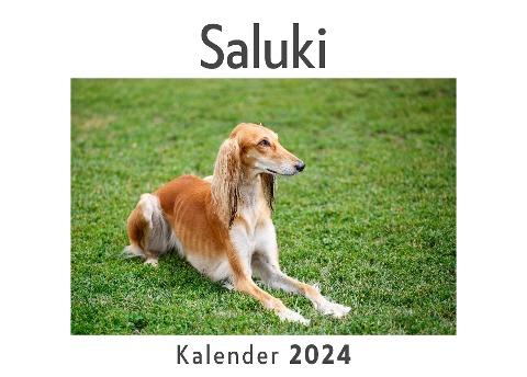 Saluki (Wandkalender 2024, Kalender DIN A4 quer, Monatskalender im Querformat mit Kalendarium, Das perfekte Geschenk)