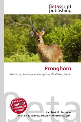 Pronghorn