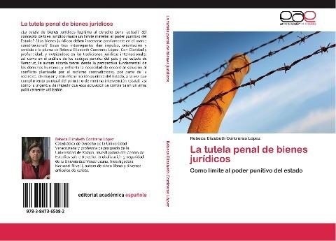 La tutela penal de bienes jurídicos