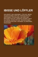 Ibisse und Löffler