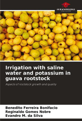 Irrigation with saline water and potassium in guava rootstock