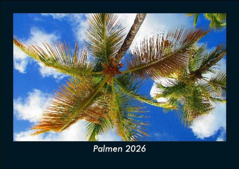 Palmen 2026 Fotokalender DIN A5