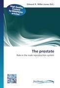 The prostate
