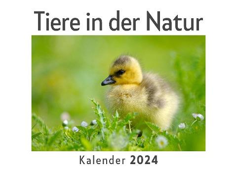 Tiere in der Natur (Wandkalender 2024, Kalender DIN A4 quer, Monatskalender im Querformat mit Kalendarium, Das perfekte Geschenk)