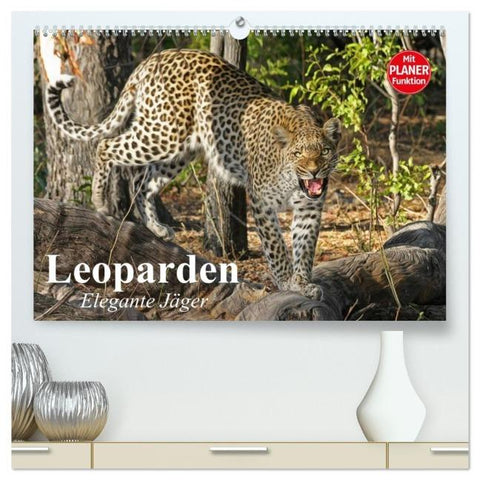 Leoparden. Elegante Jäger (hochwertiger Premium Wandkalender 2026 DIN A2 quer), Kunstdruck in Hochglanz