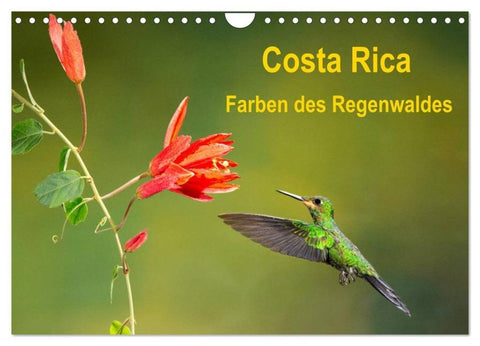 Costa Rica - Farben des Regenwaldes (Wandkalender 2026 DIN A4 quer), CALVENDO Monatskalender
